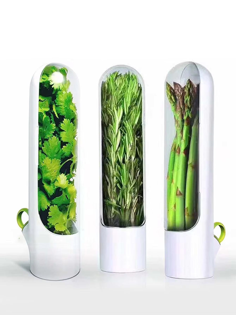 1pc Clear Food Storage Box,Vegetable Fresh-keeping Bottle, Herbal Medicine Preservation Bottle, Herb Storage Bottle, Home Kitchen Gadgets